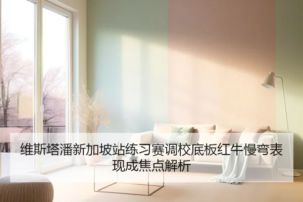 维斯塔潘新加坡站练习赛调校底板红牛慢弯表现成焦点解析